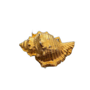 Vintage 80s Jeanne Bouchever Gold Tone Conch Shell Scarf Clip Seashell